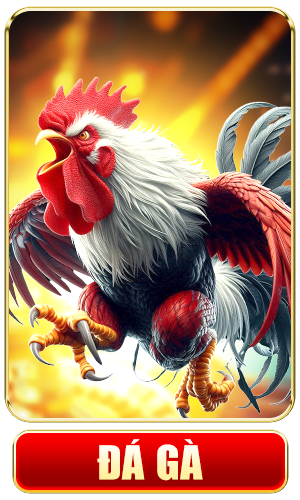 đá gà