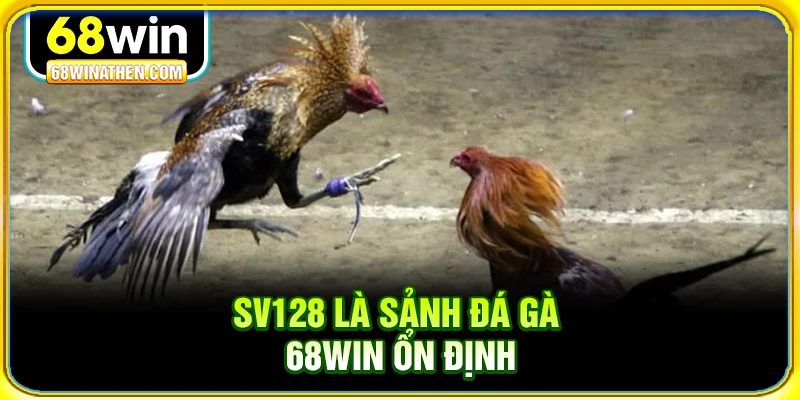 SV128 là sảnh đá gà 68win ổn định